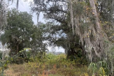 Land in Silver Springs Shores, Florida № 2160925 - photo 3