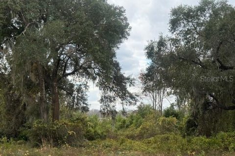 Land in Silver Springs Shores, Florida № 2160925 - photo 2