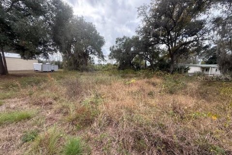 Land in Silver Springs Shores, Florida № 2160925 - photo 4