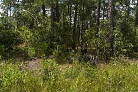 Land in Frostproof, Florida № 2360868