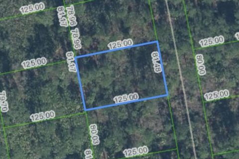 Land in Sebring, Florida № 2164282