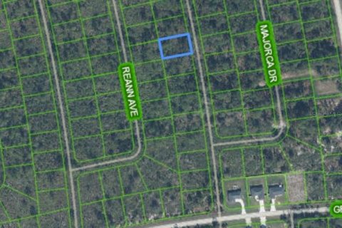 Land in Sebring, Florida № 2164282 - photo 3
