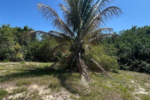 Casa en venta en Moore Haven, Florida, 5 dormitorios, 190.64 m2 № 1642429 - foto 10