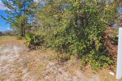 Terreno en venta en Kissimmee, Florida № 1675198 - foto 4