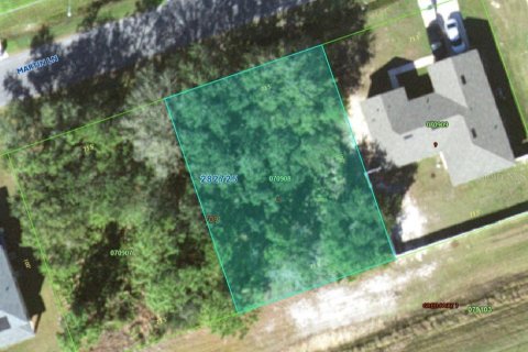 Terreno en venta en Kissimmee, Florida № 1675198 - foto 5