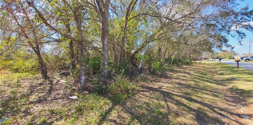 Terreno en Kissimmee, Florida № 1675198