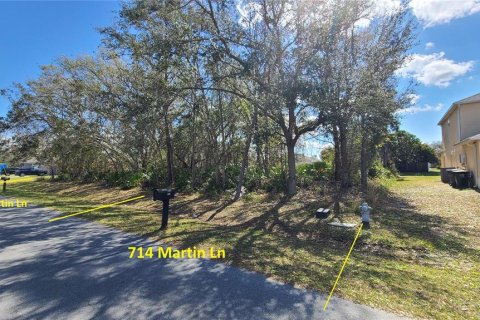 Terreno en venta en Kissimmee, Florida № 1675198 - foto 3