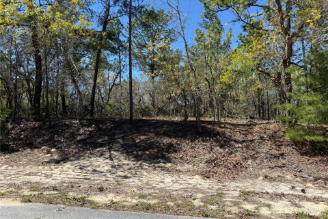 Terrain à Dunnellon, Floride № 2229044