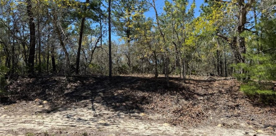 Terrain à Dunnellon, Floride № 2229044