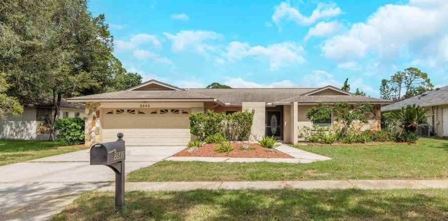 Villa ou maison à Palm Harbor, Floride 4 chambres, 181.9 m2 № 2329475