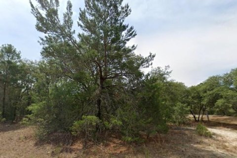 Terreno en venta en Citrus Springs, Florida № 2165242 - foto 2