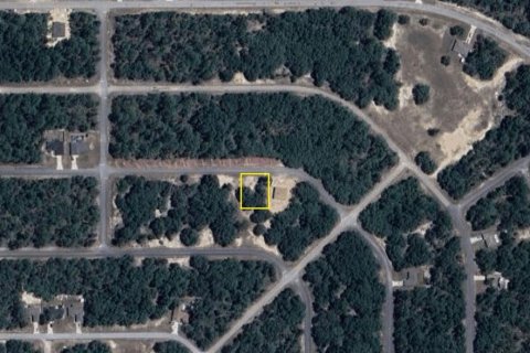 Terreno en venta en Citrus Springs, Florida № 2165242 - foto 3