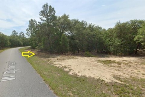 Terreno en Citrus Springs, Florida № 2165242