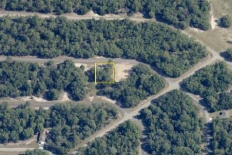 Terreno en venta en Citrus Springs, Florida № 2165242 - foto 5