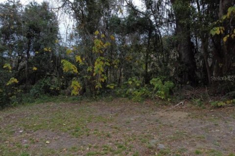 Terrain à vendre à Ocala, Floride № 2158956 - photo 2