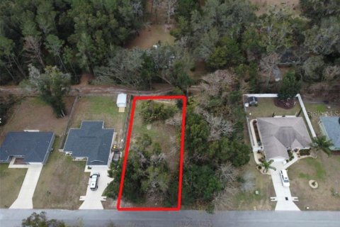 Terrain à vendre à Ocala, Floride № 2158956 - photo 5