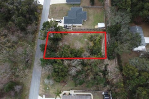 Terrain à vendre à Ocala, Floride № 2158956 - photo 6