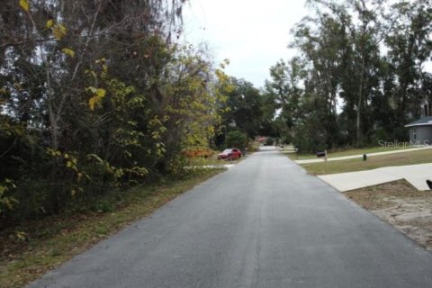Terrain à vendre à Ocala, Floride № 2158956 - photo 3