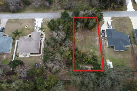 Terrain à vendre à Ocala, Floride № 2158956 - photo 7