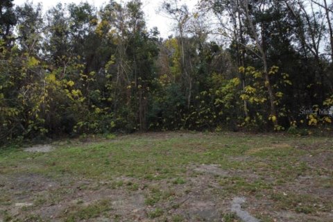 Terrain à Ocala, Floride № 2158956