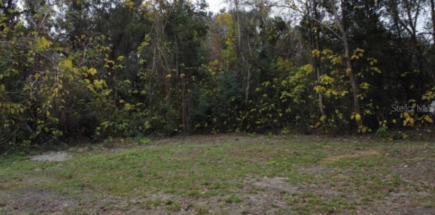 Terrain à Ocala, Floride № 2158956