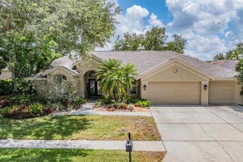 House in Palm Harbor, Florida 4 bedrooms, 214.98 sq.m. № 1751214 - photo 1