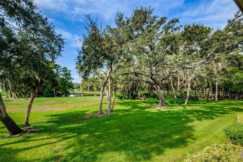 Condo in Palm Harbor, Florida, 1 bedroom  № 2210553 - photo 3