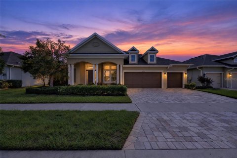 House in Land O' Lakes, Florida 4 bedrooms, 309.36 sq.m. № 2429286
