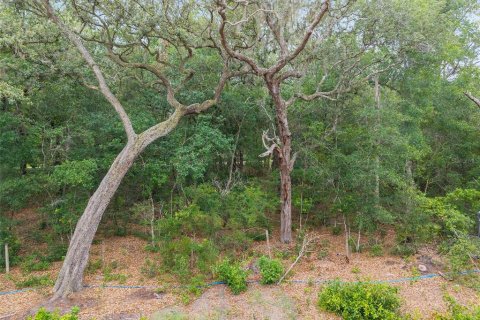 Terrain à vendre à Melrose, Floride № 2095831 - photo 20