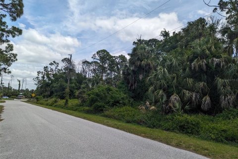 Land in North Port, Florida № 2160232 - photo 5