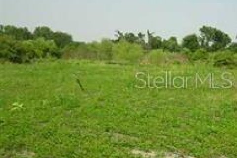 Land in Plant City, Florida № 2195286