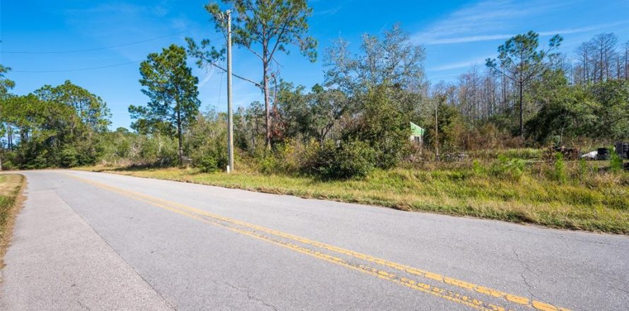 Land in Clermont, Florida № 1717572
