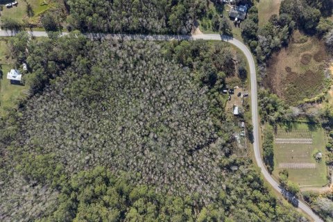 Land in Clermont, Florida № 1717572 - photo 6