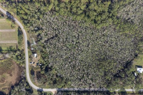 Land in Clermont, Florida № 1717572 - photo 3