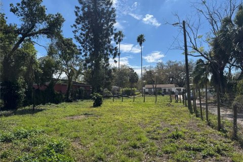 Land in Tampa, Florida № 1759667 - photo 4