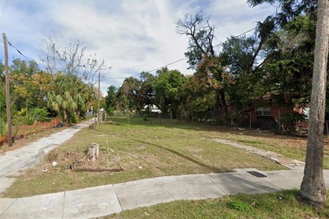 Land in Tampa, Florida № 1759667 - photo 1