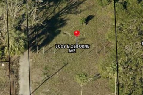 Land in Tampa, Florida № 1759667 - photo 2