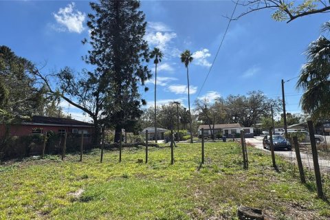 Land in Tampa, Florida № 1759667 - photo 5