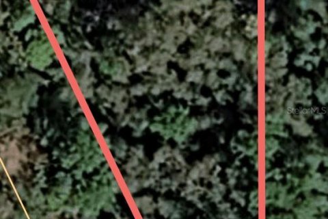 Terreno en Lady Lake, Florida № 2162144
