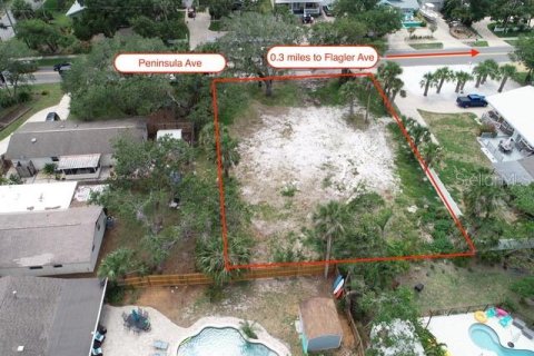 Land in New Smyrna Beach, Florida № 1885247 - photo 3