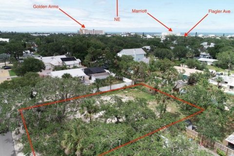 Land in New Smyrna Beach, Florida № 1885247 - photo 7
