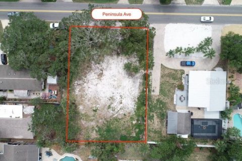 Land in New Smyrna Beach, Florida № 1885247 - photo 11