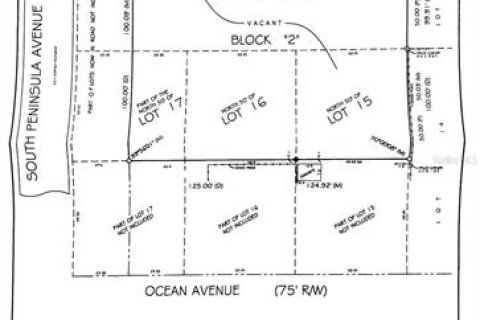 Land in New Smyrna Beach, Florida № 1885247 - photo 2