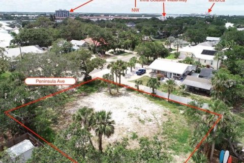 Land in New Smyrna Beach, Florida № 1885247 - photo 5