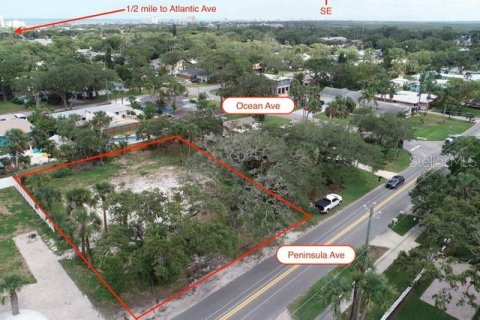 Land in New Smyrna Beach, Florida № 1885247 - photo 9