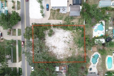 Land in New Smyrna Beach, Florida № 1885247 - photo 10