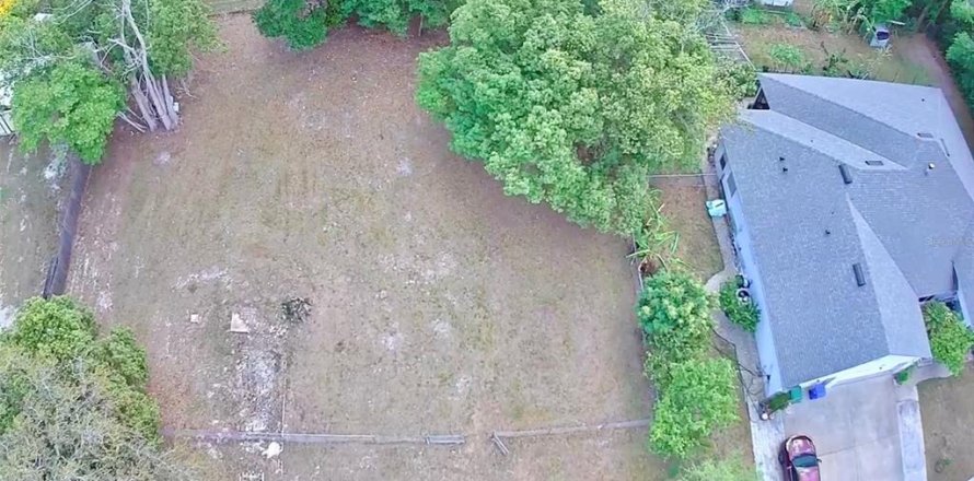 Land in Lake Mary, Florida № 2221022
