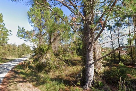 Terreno en venta en Poinciana, Florida № 1909819 - foto 4