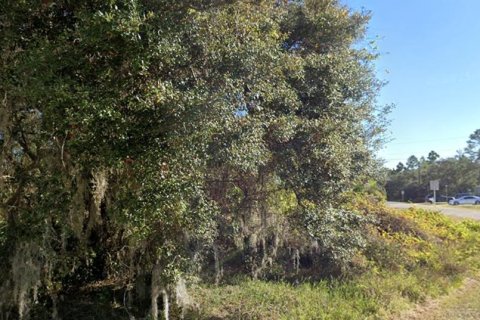 Terreno en venta en Poinciana, Florida № 1909819 - foto 3