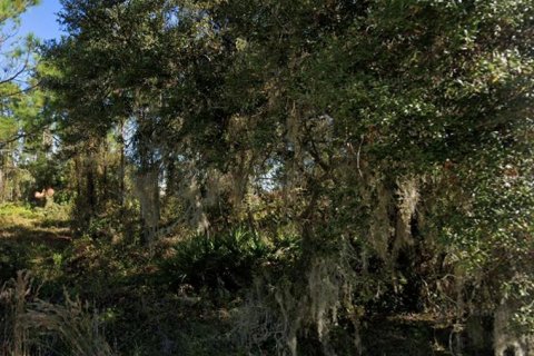 Terreno en venta en Poinciana, Florida № 1909819 - foto 1